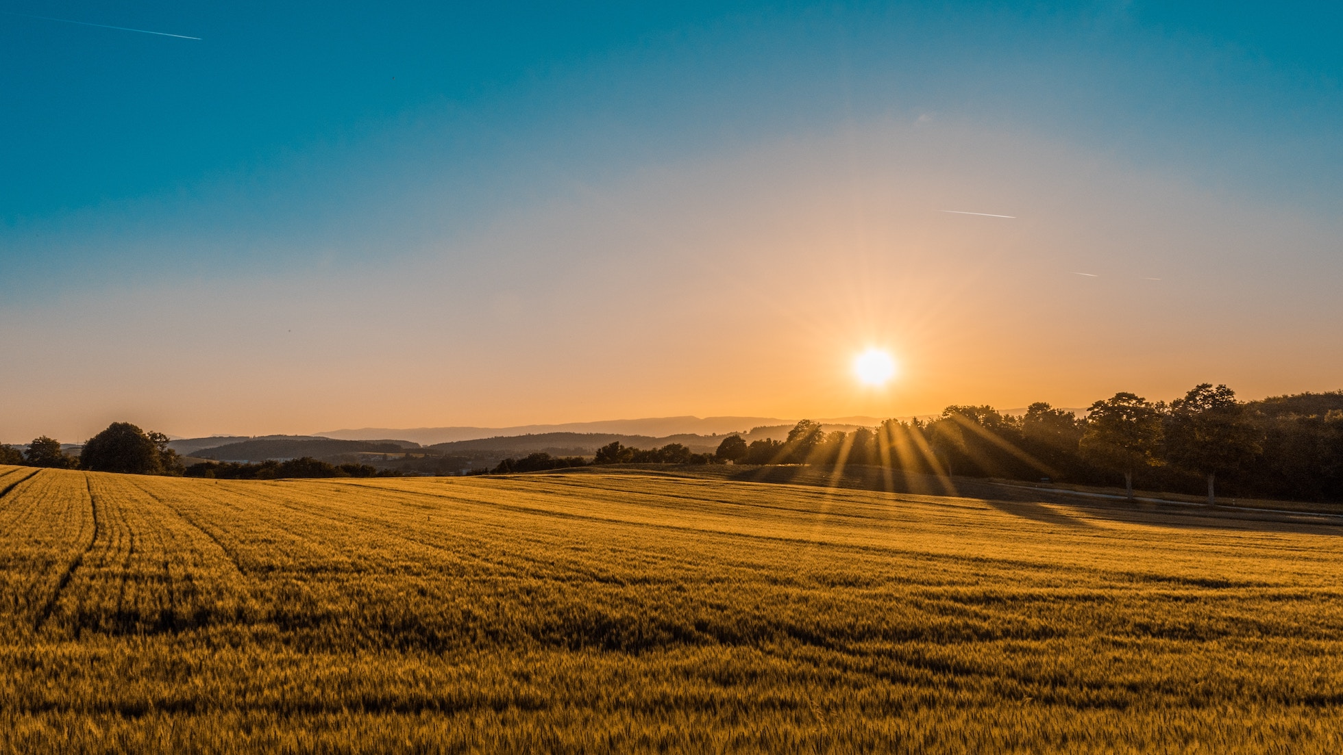 sunrise-field